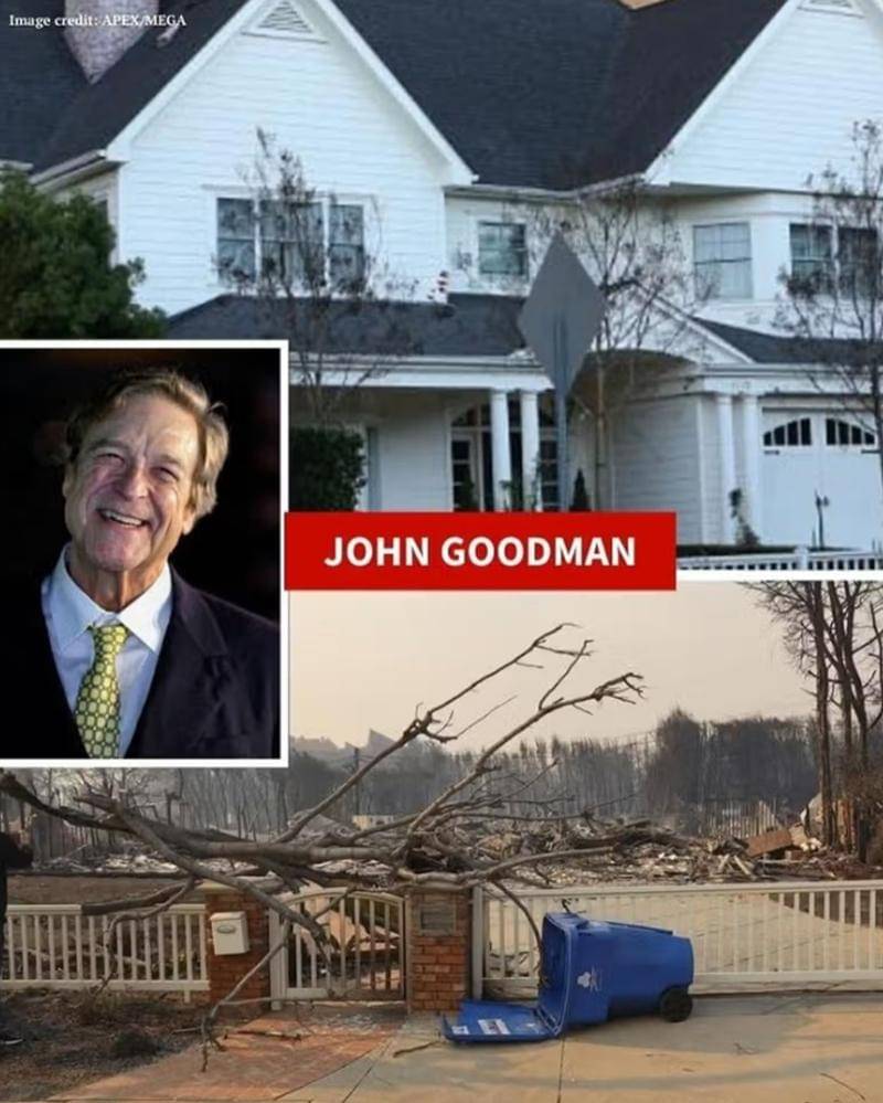 Dok. BackGird Australia